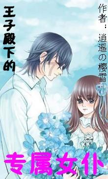信长之野望13